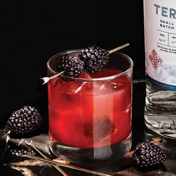Teremana Blackberry Margarita